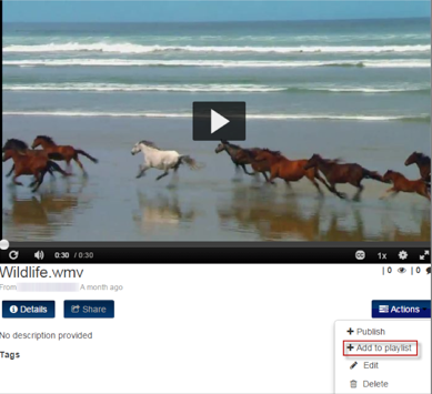 Video playback