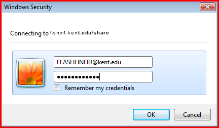 Windows security dialog.